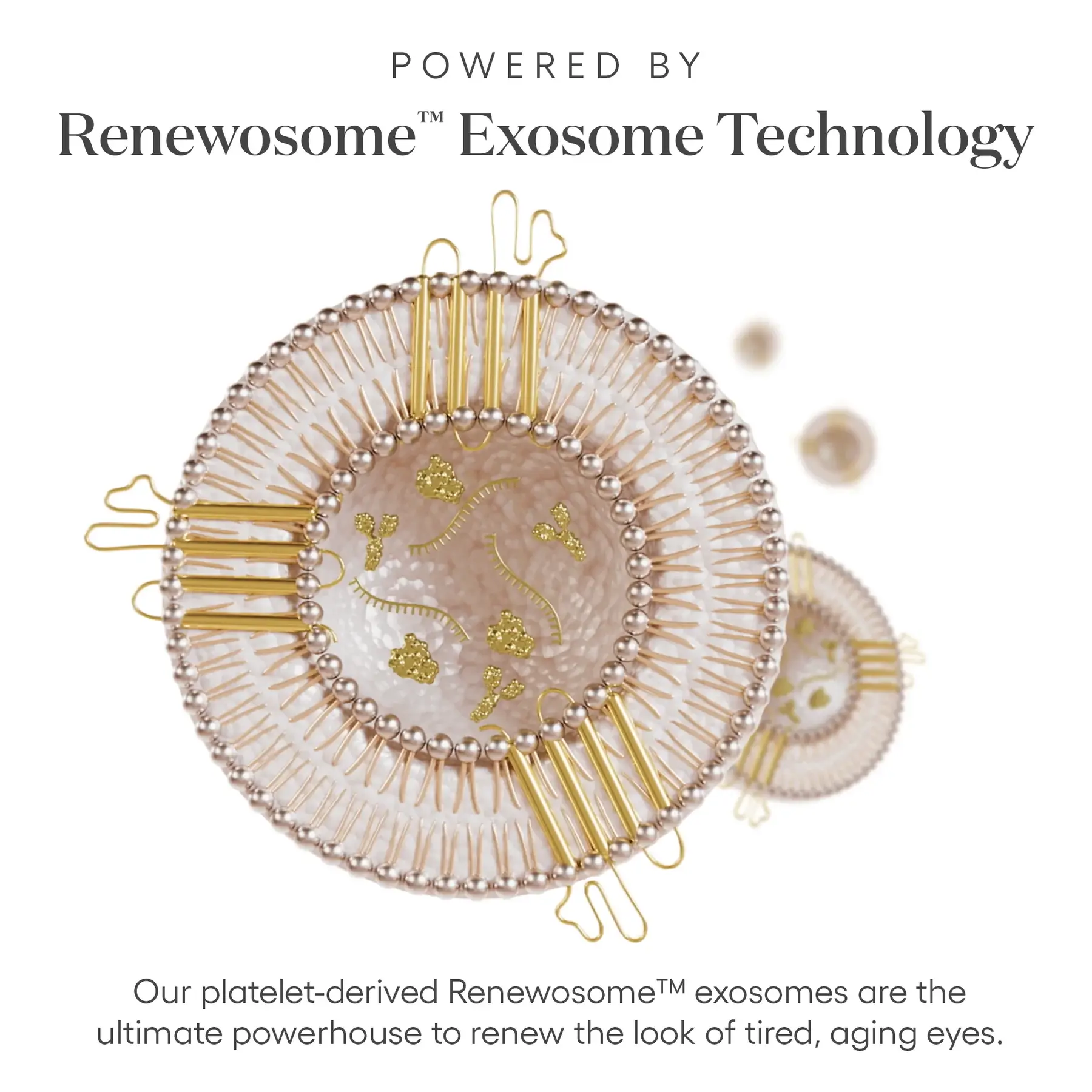 Exosome Techology behind Plated EYE Serum Infographic