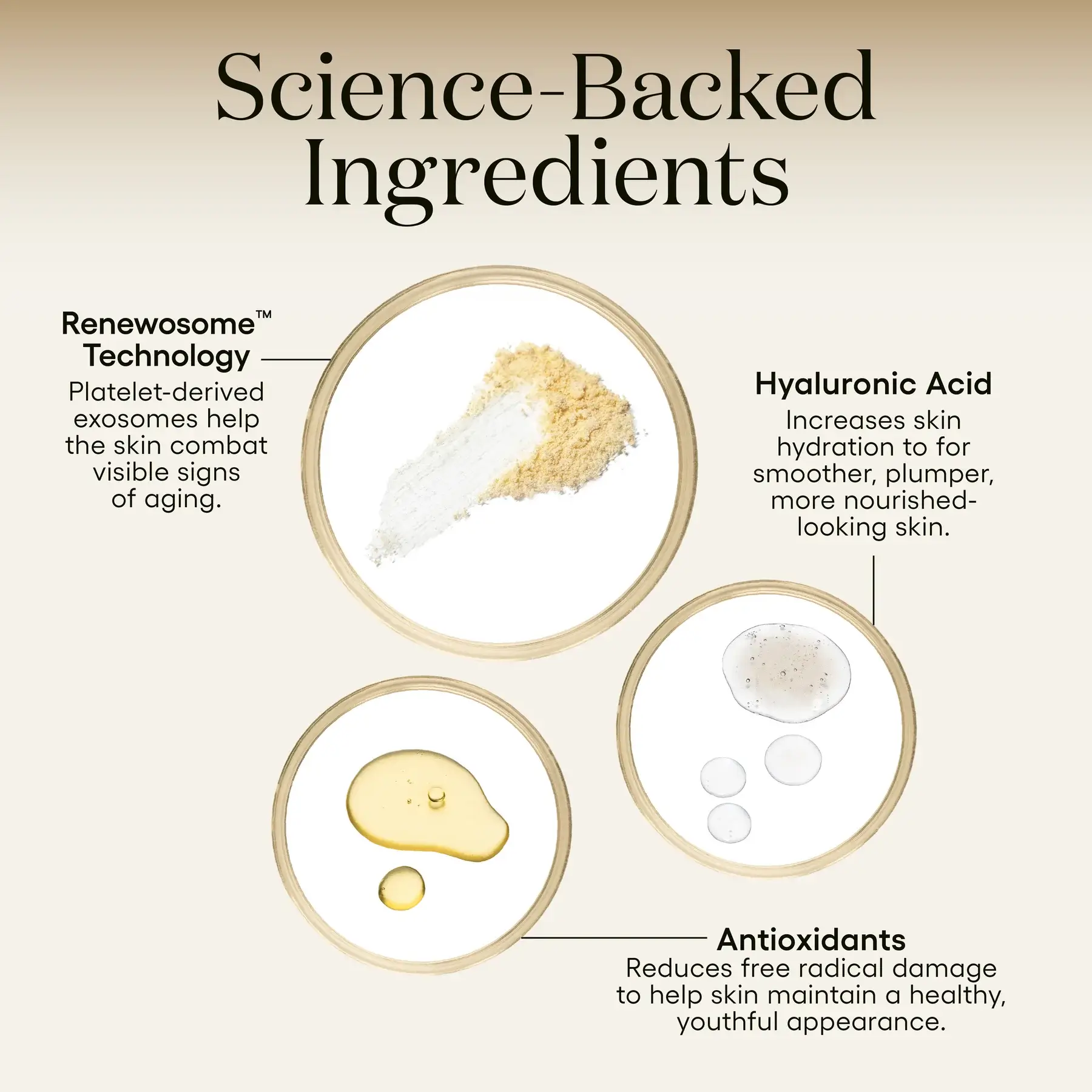Plated Intense Serum Ingredients Infographic